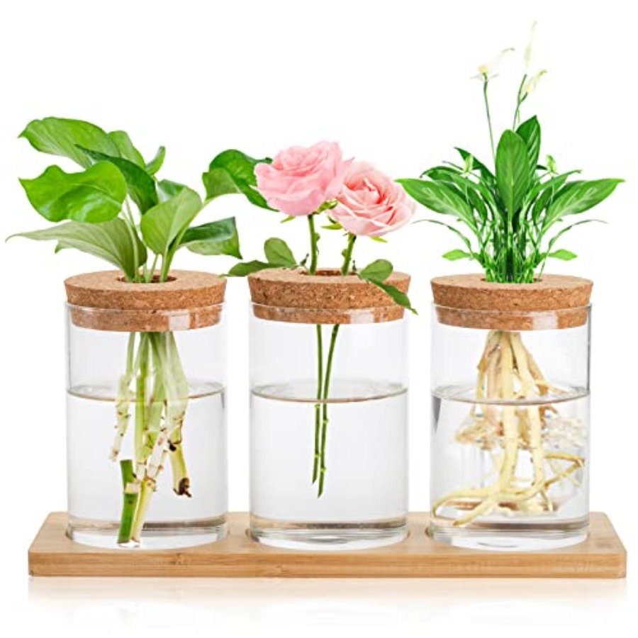 3 Pcs Plant Terrarium Propagat - Propagation Station Vase のレビューと価格