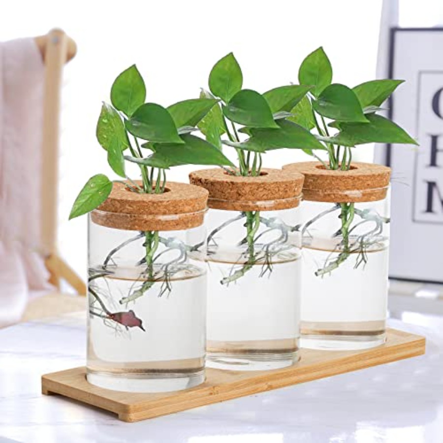 3 Pcs Plant Terrarium Propagat - Propagation Station Vase のレビューと価格
