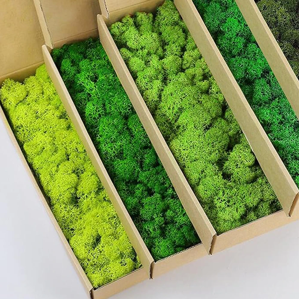 20-200g Artificial Green Plant - Sphagnum Moss Dry のレビューと価格