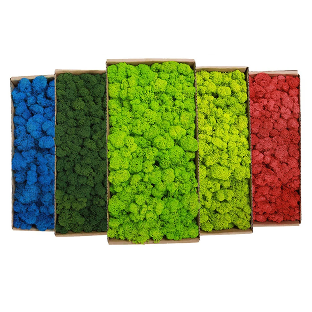 20-200g Artificial Green Plant - Sphagnum Moss Dry のレビューと価格