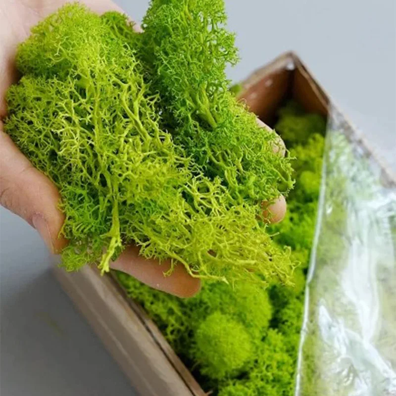 20-200g Artificial Green Plant - Sphagnum Moss Dry のレビューと価格