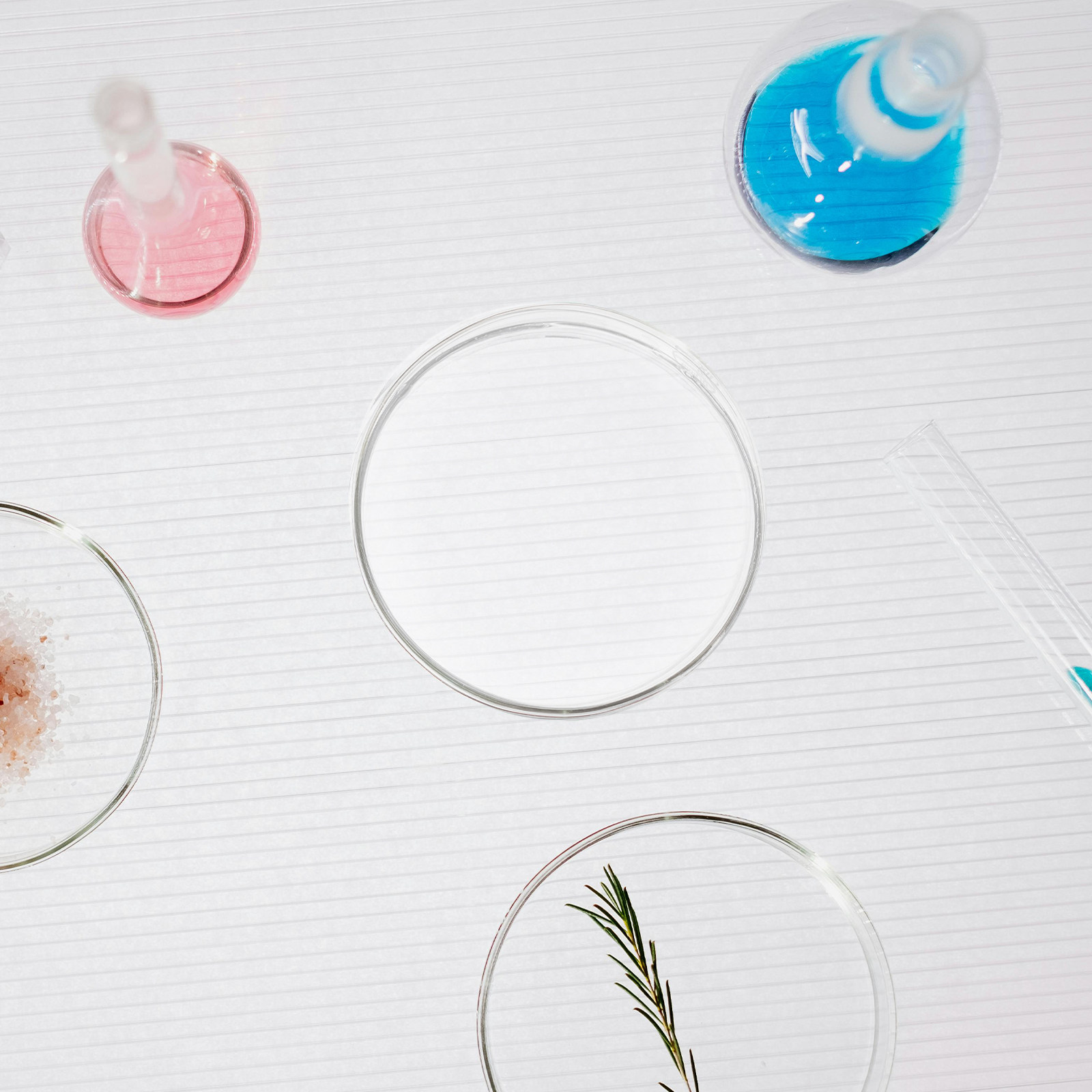 Glass Petri Dish Flat Bottom R - Agar Tissue Culture のレビューと価格