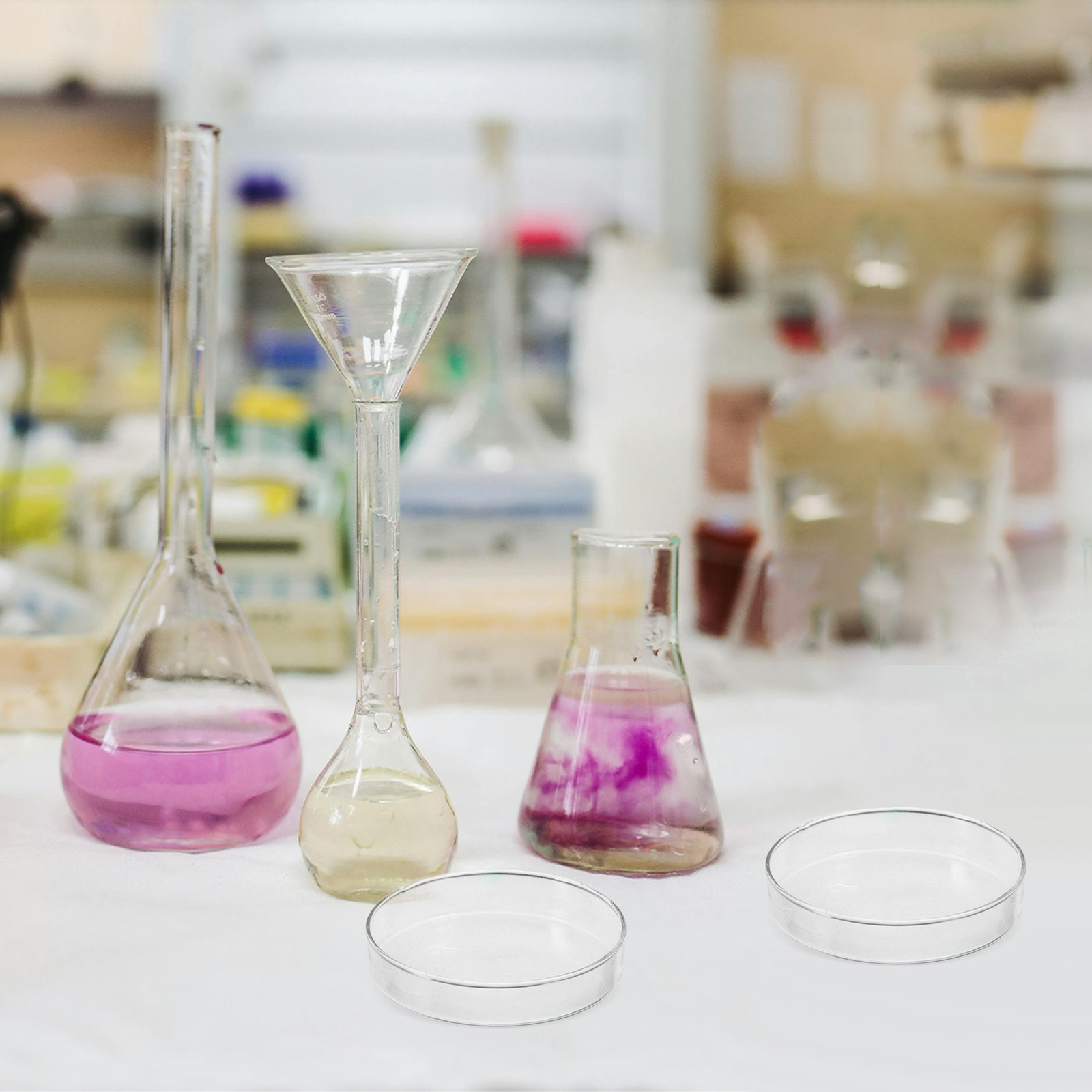 Glass Petri Dish Flat Bottom R - Agar Tissue Culture のレビューと価格