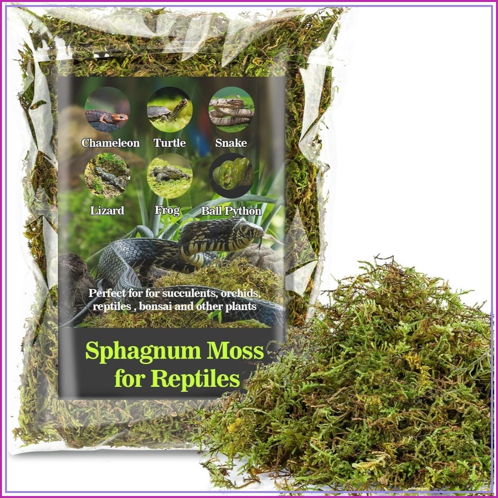 Sphagnum Moss for Reptiles - G - Sphagnum Moss Dry のレビューと価格