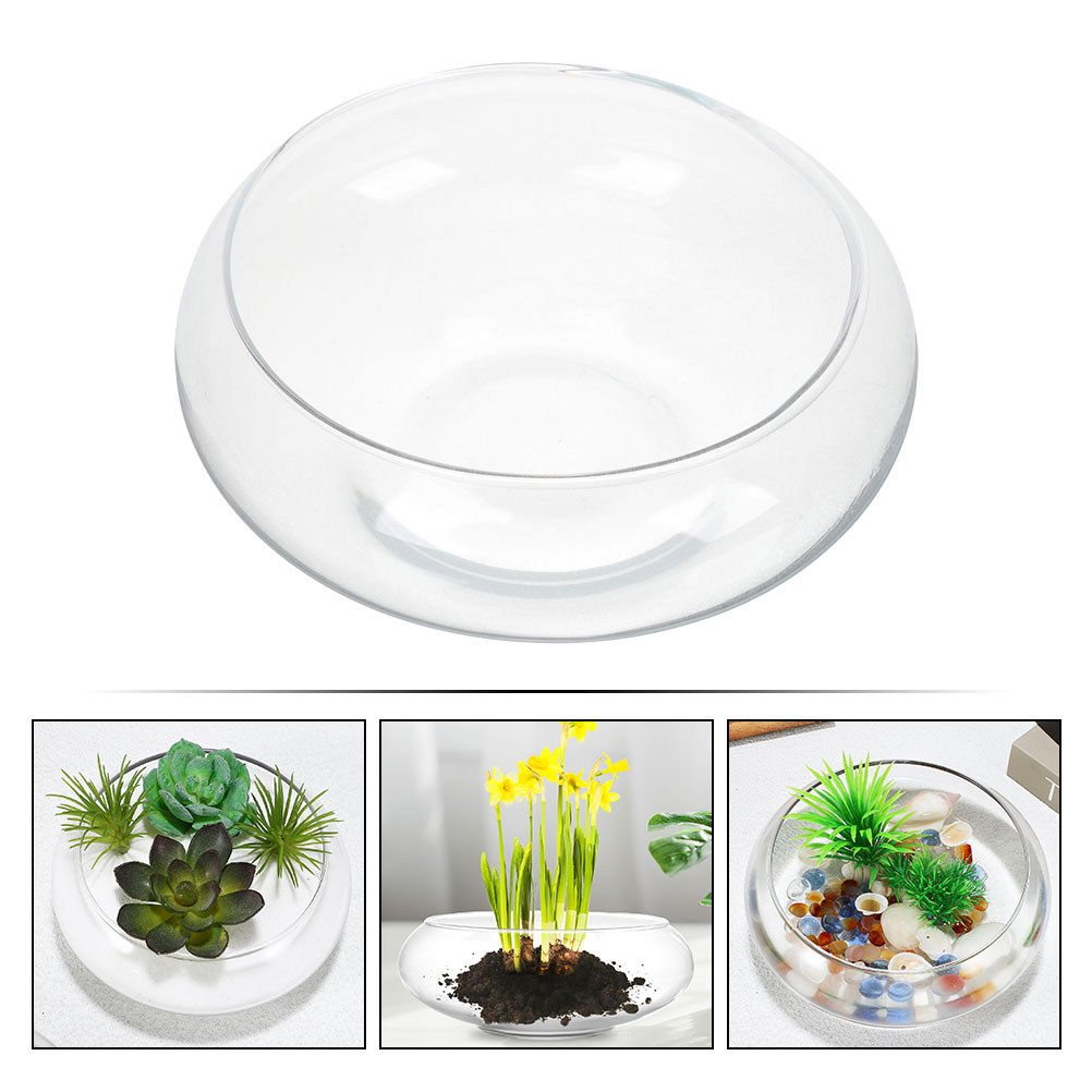 Wide Mouth Glass Vase Narcissu - Propagation Station Vase のレビューと価格