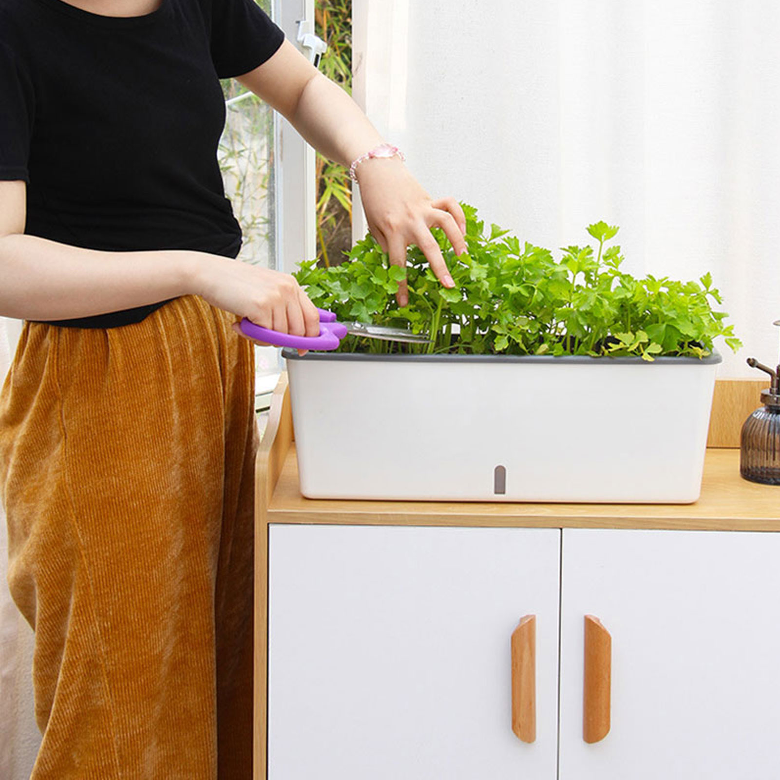 Self-Watering Planter Pots wit - Self Watering Insert のレビューと価格