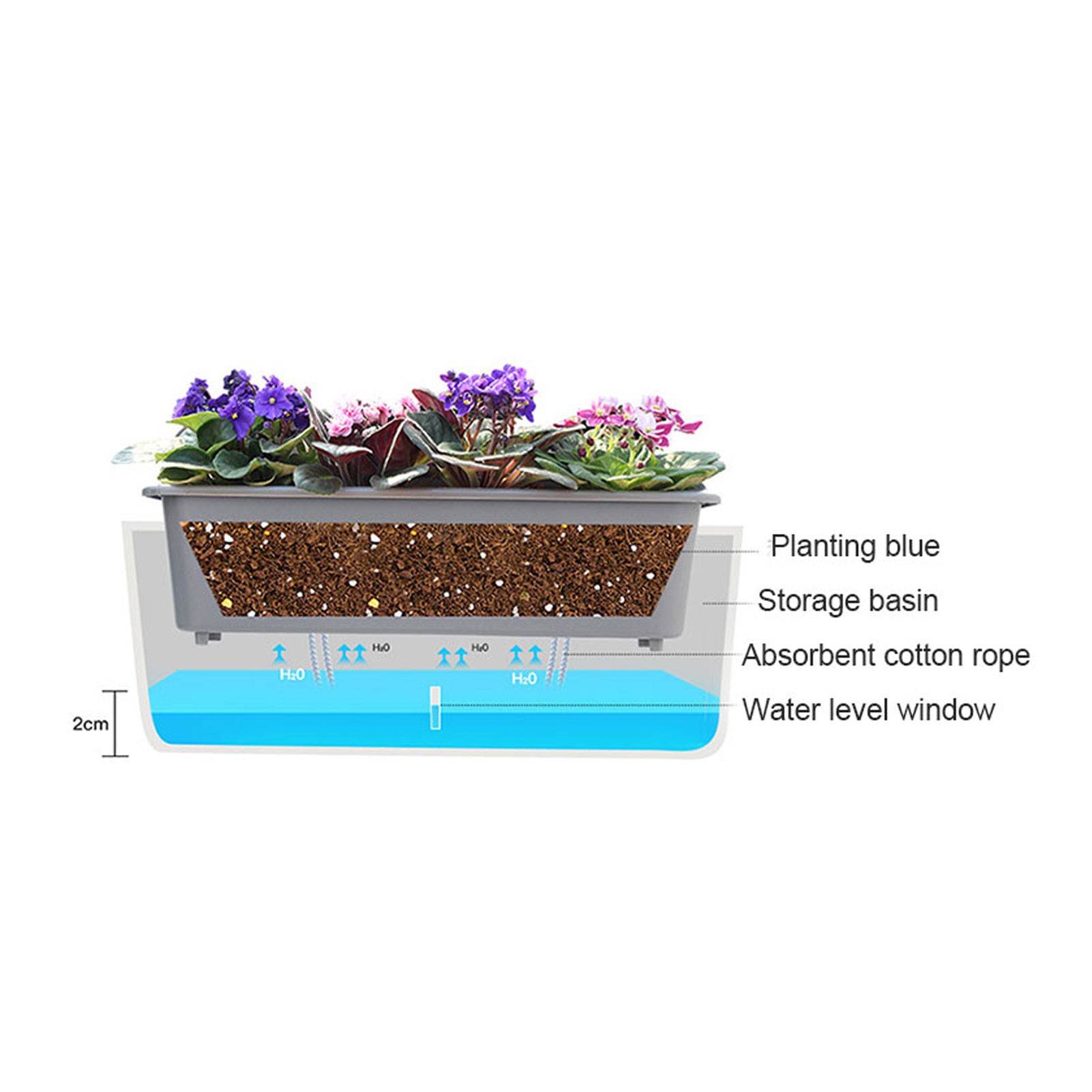 Self-Watering Planter Pots wit - Self Watering Insert のレビューと価格