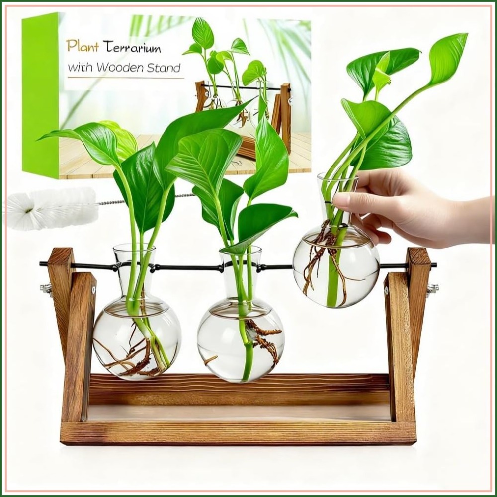Plant Propagation Stations wit - Propagation Station Vase のレビューと価格