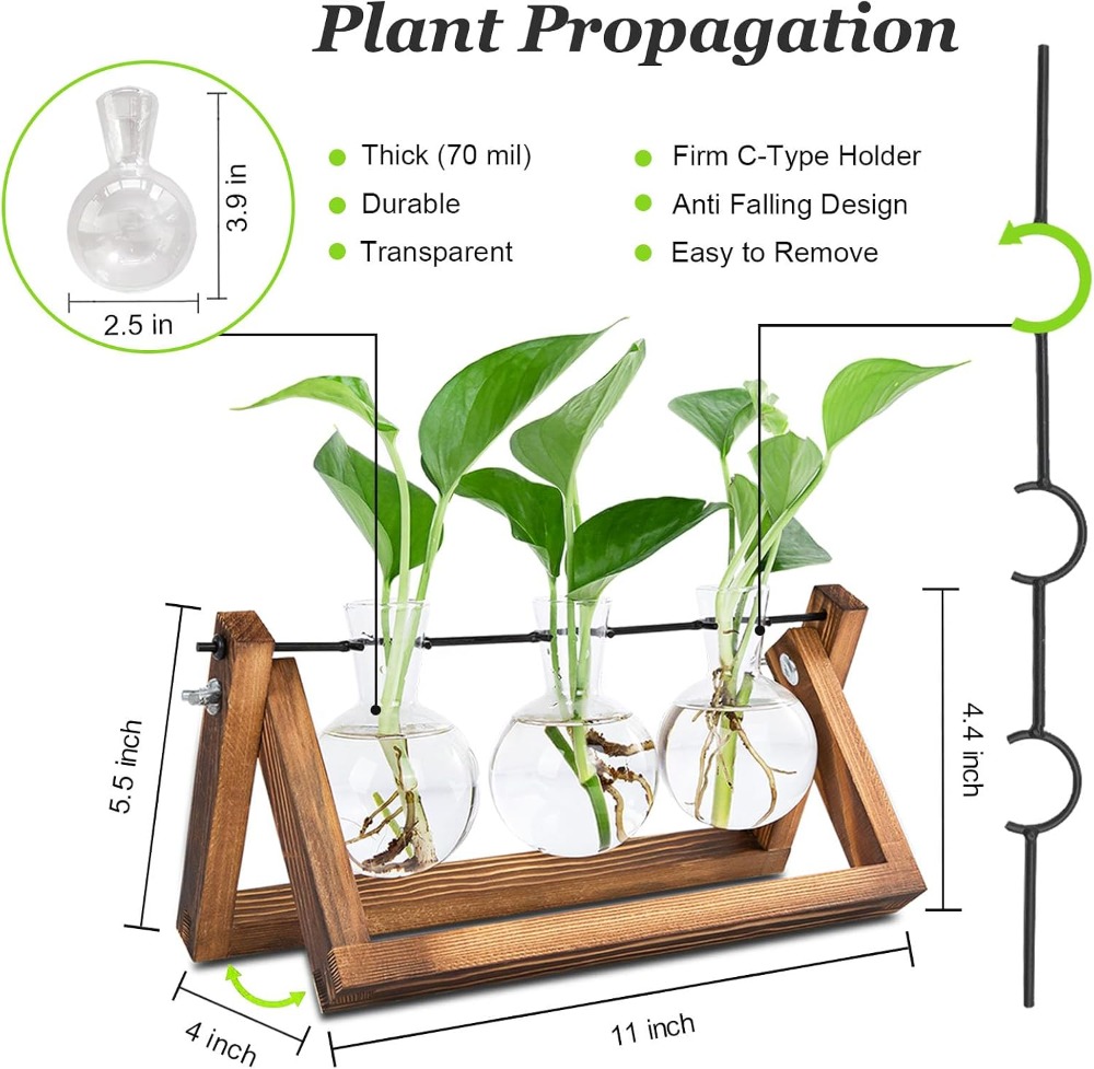 Plant Propagation Stations wit - Propagation Station Vase のレビューと価格