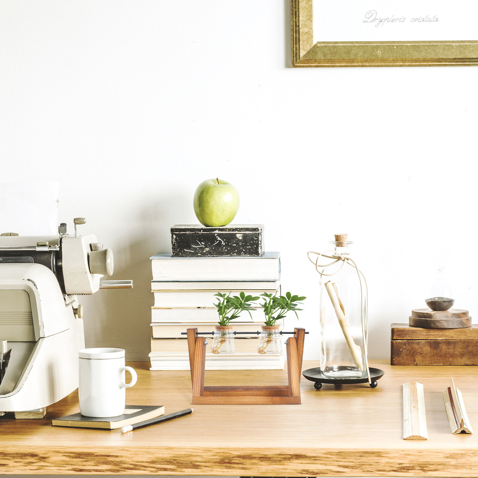 Hydroponic Propagating Jars Ho - Propagation Station Vase のレビューと価格