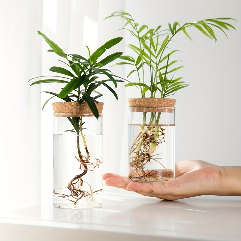 1pc, Hydroponics Plants Deskto - Propagation Station Vase のレビューと価格