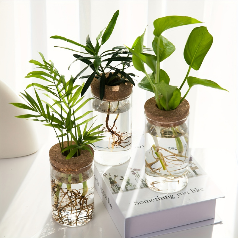 1pc, Hydroponics Plants Deskto - Propagation Station Vase のレビューと価格