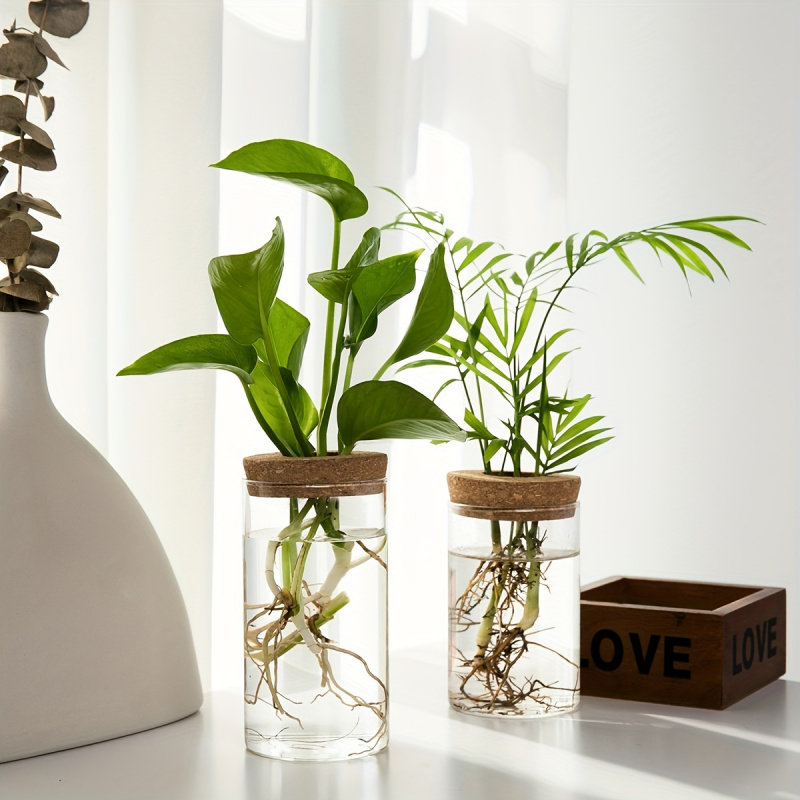 1pc, Hydroponics Plants Deskto - Propagation Station Vase のレビューと価格
