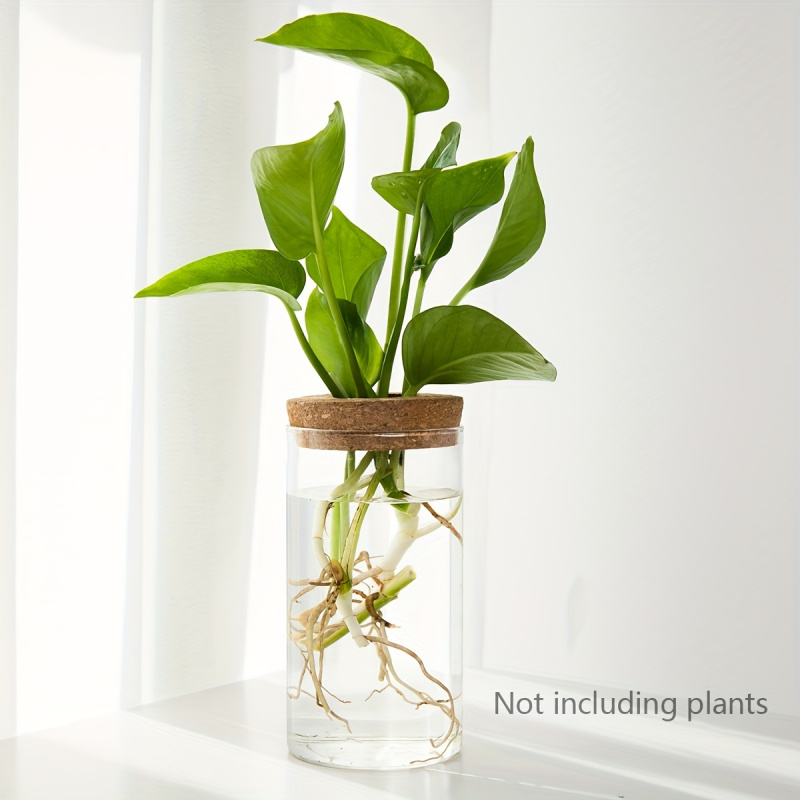 1pc, Hydroponics Plants Deskto - Propagation Station Vase のレビューと価格
