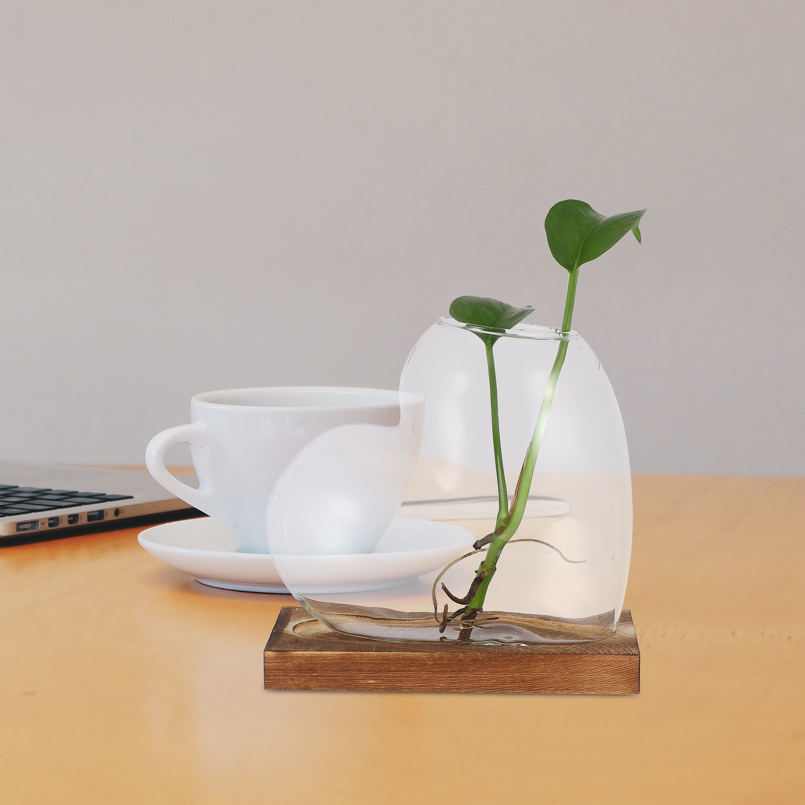 Heart Glass Planter Vase Hydro - Propagation Station Vase のレビューと価格