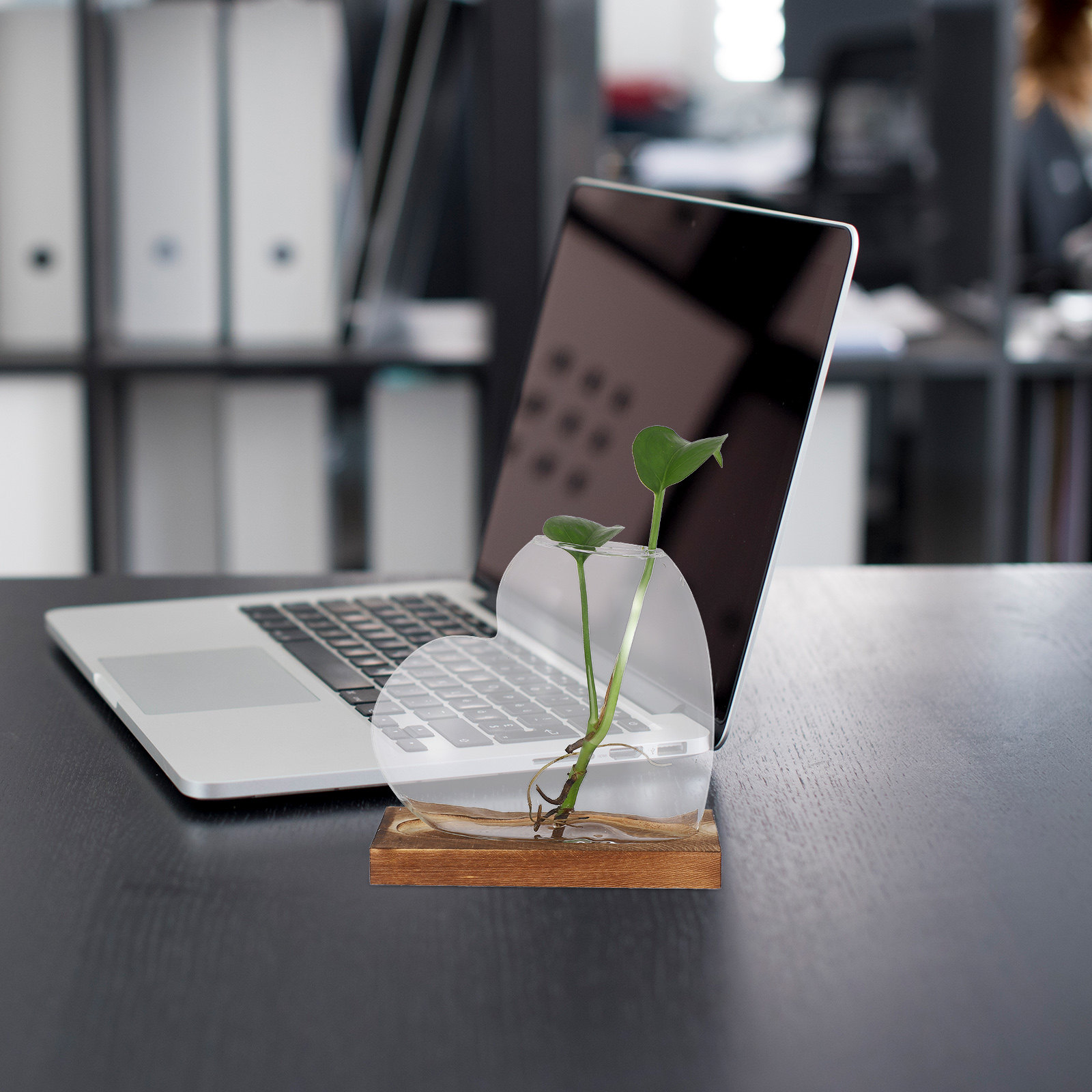 Heart Glass Planter Vase Hydro - Propagation Station Vase のレビューと価格