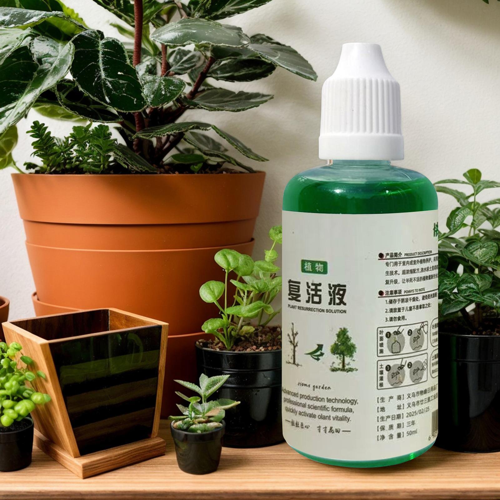 Root Stimulator for Plants Roo - Root Stimulator Liquid のレビューと価格