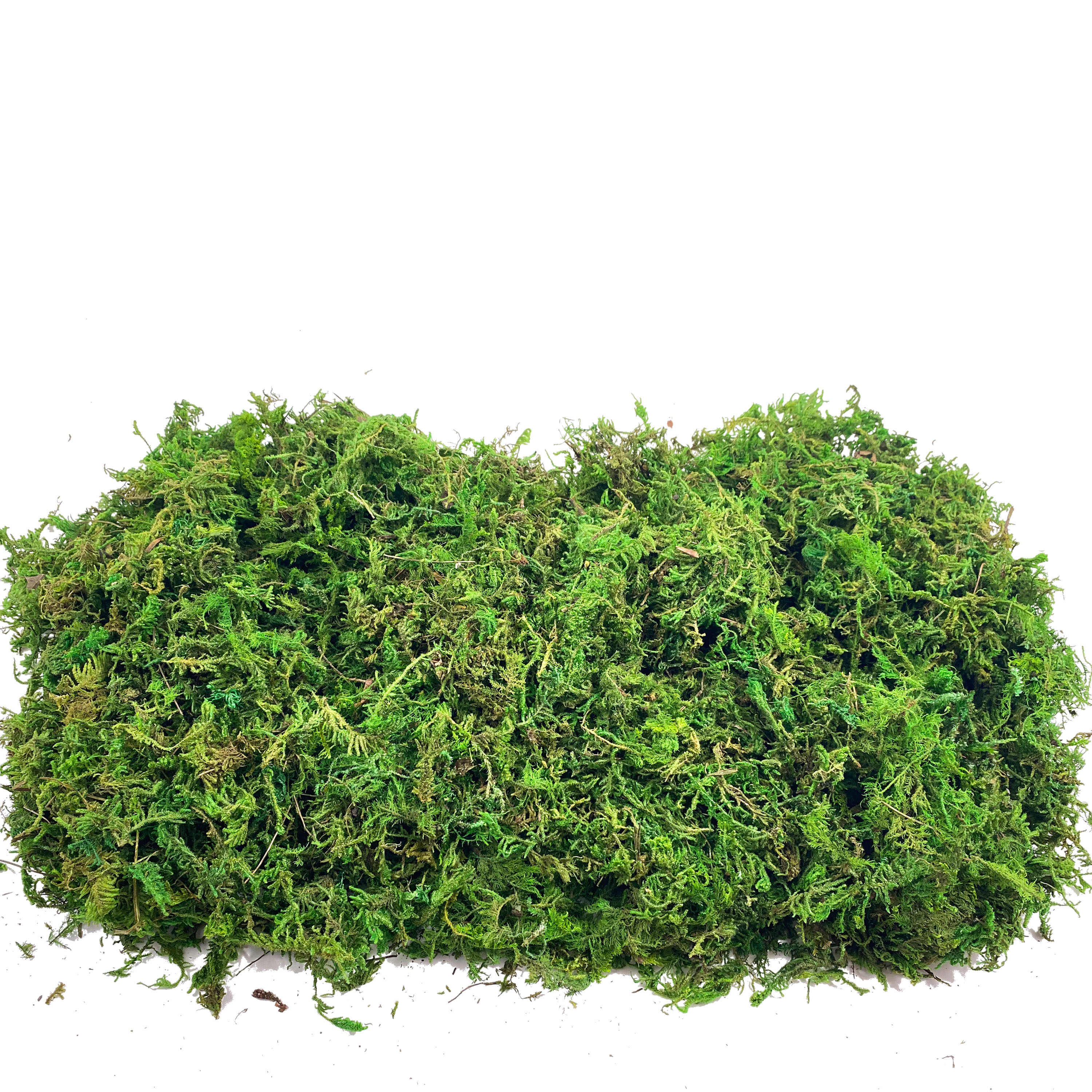 Artificial Fake Moss, Craft Mo - Sphagnum Moss Dry のレビューと価格