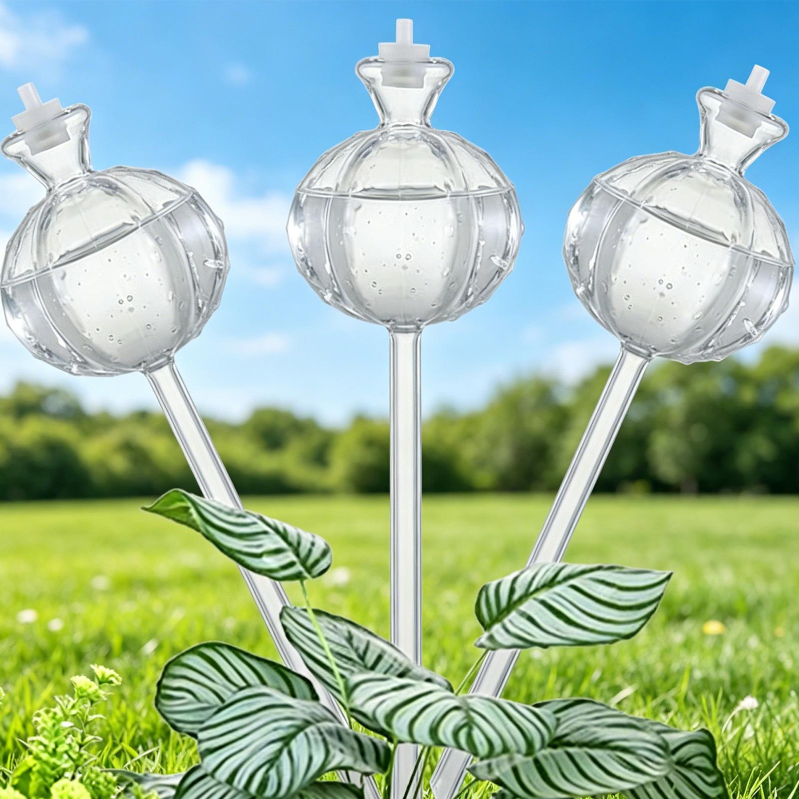 Self-Watering Globes 3 Pieces  - Self Watering Insert のレビューと価格