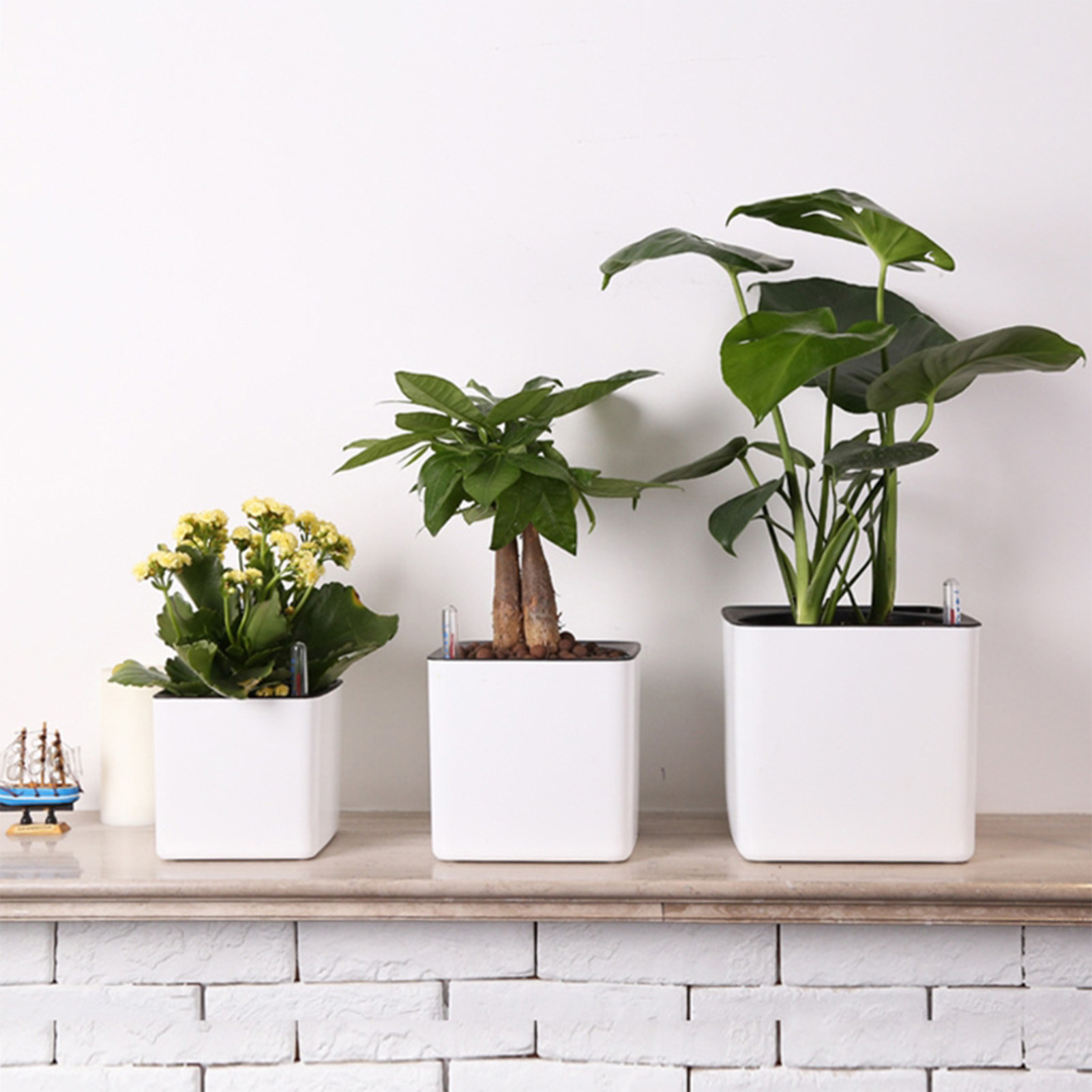3 size Lazy flowerpot Green Pl - Self Watering Insert のレビューと価格