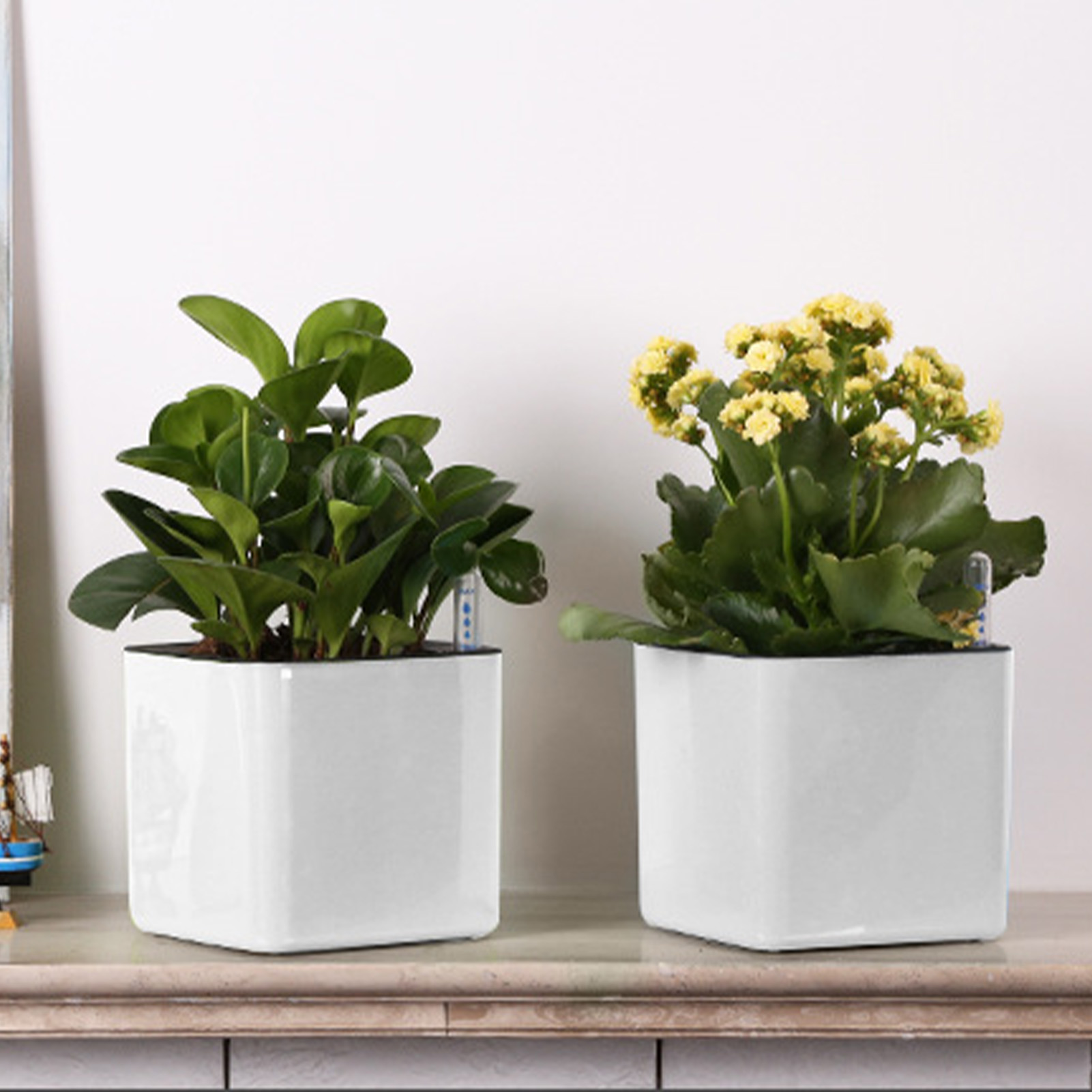 3 size Lazy flowerpot Green Pl - Self Watering Insert のレビューと価格