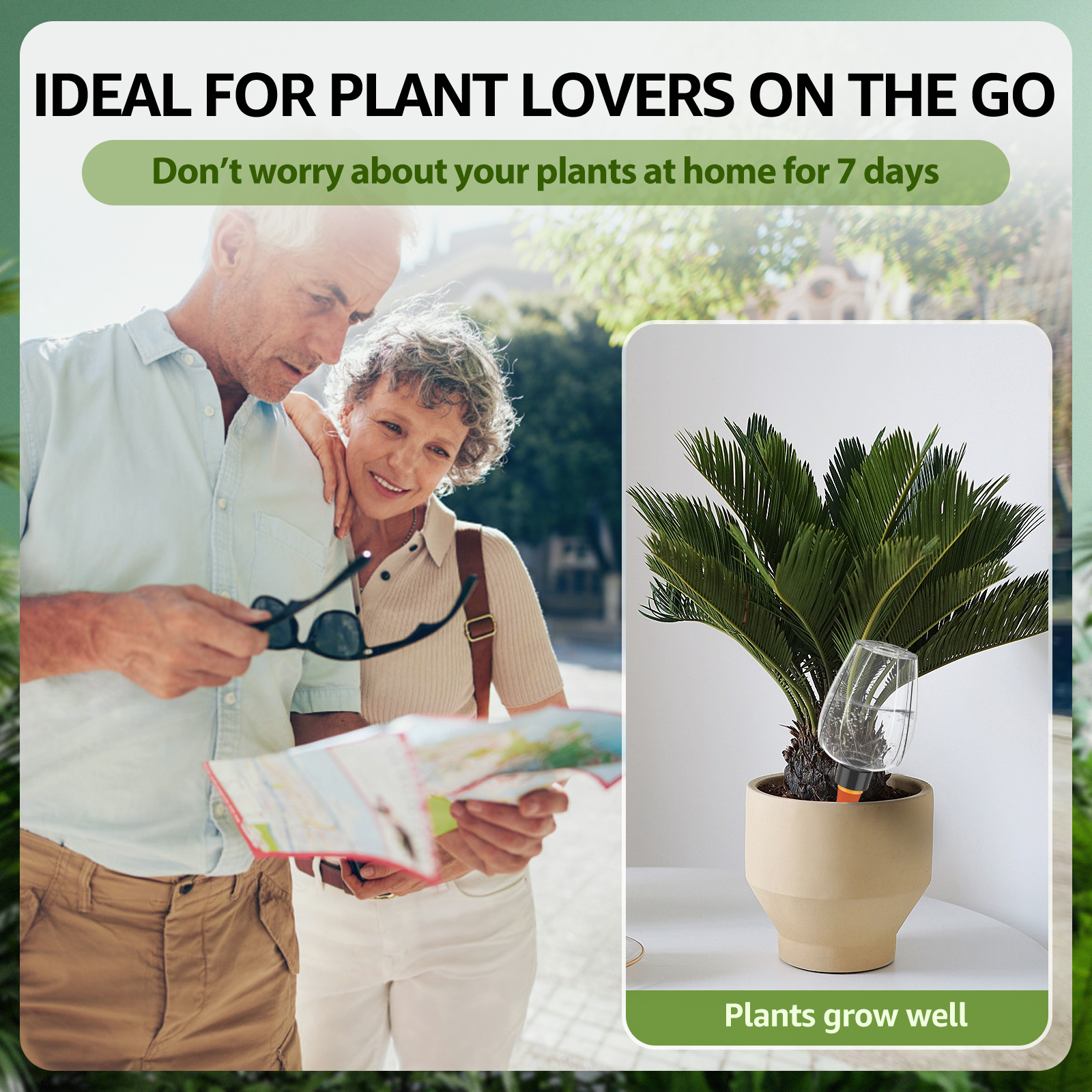 4Pcs Plant Watering Balls 350M - Self Watering Insert のレビューと価格
