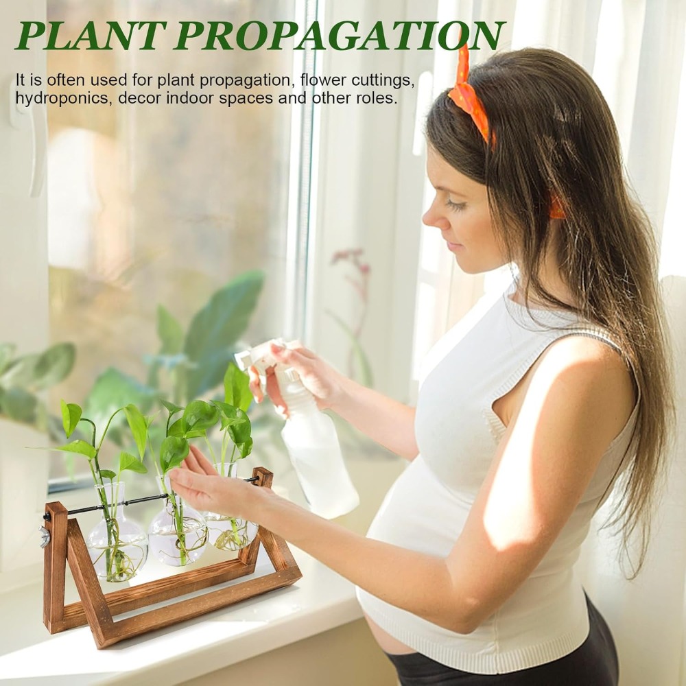 Plant Propagation Station with - Propagation Station Vase のレビューと価格