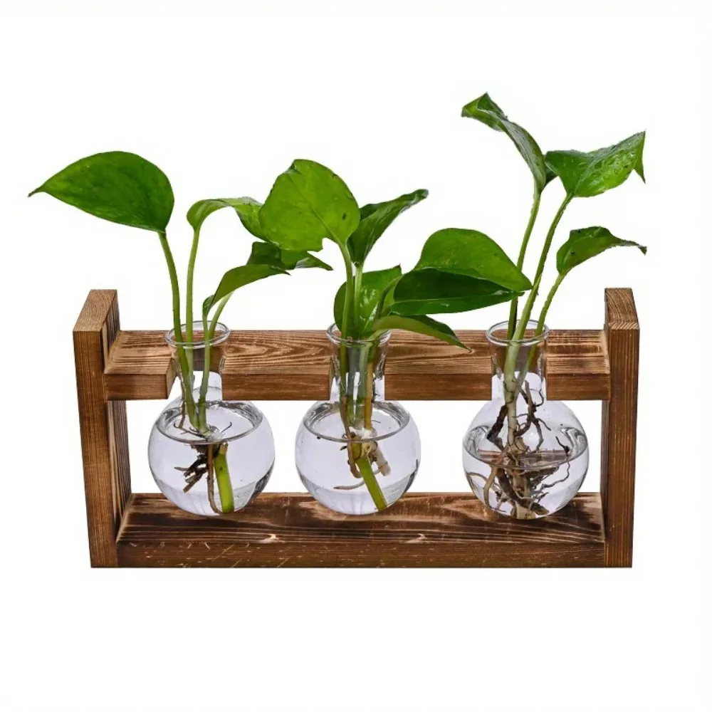 Tabletop Glass Planter Propaga - Propagation Station Vase のレビューと価格