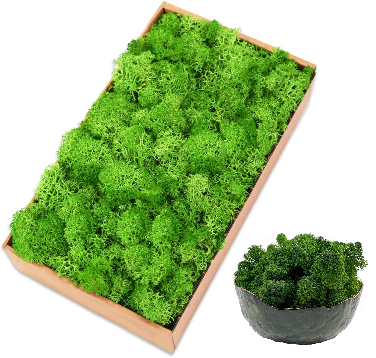 Eternal Life Moss Artificial G - Sphagnum Moss Dry のレビューと価格