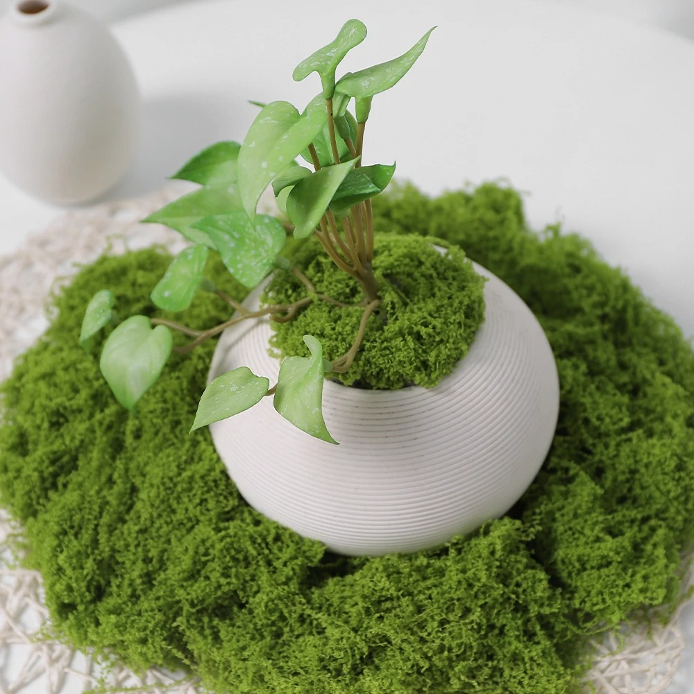 30/50/100g Artificial Green Pl - Sphagnum Moss Dry のレビューと価格