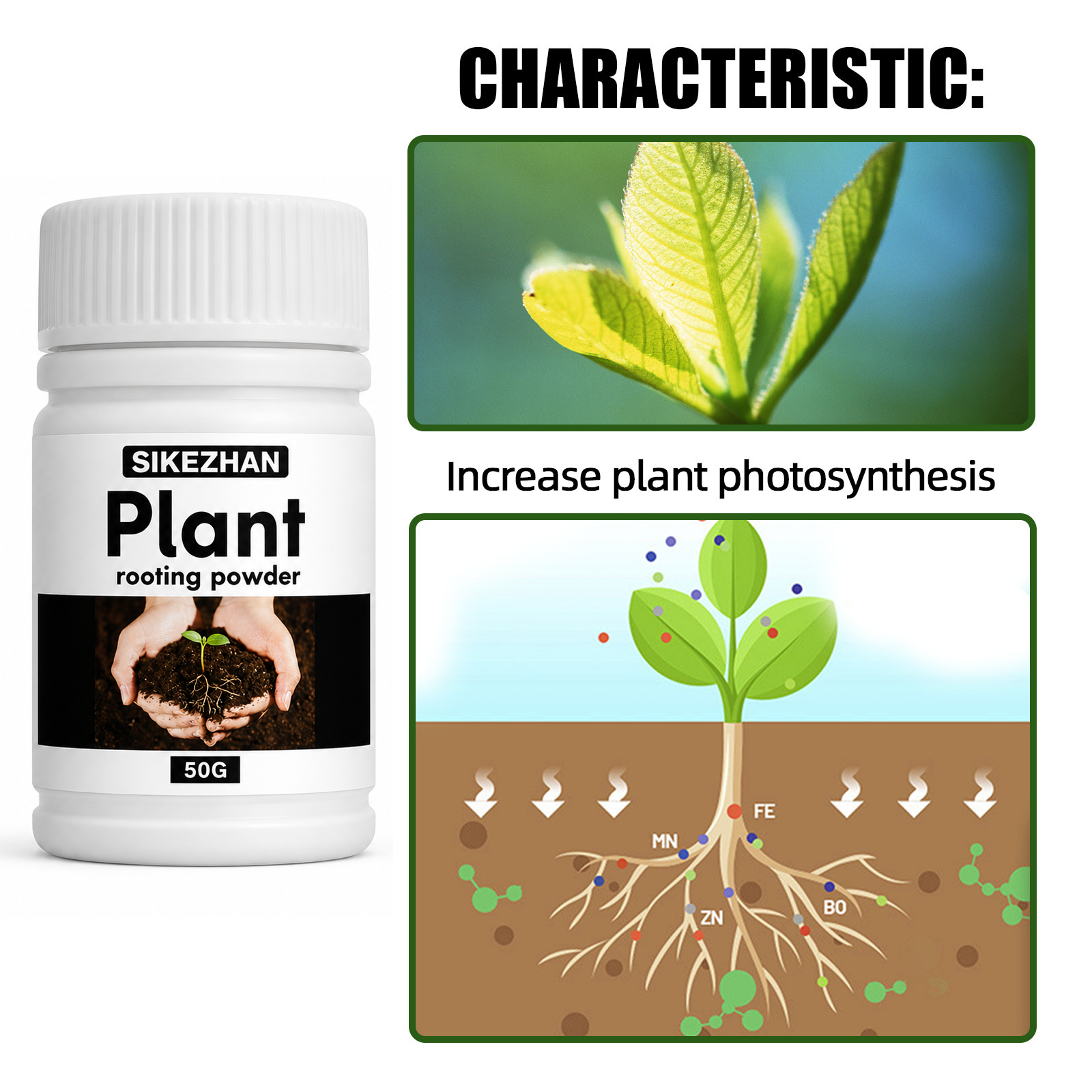50g Rapid Rooting Powder Plant - Rooting Hormone Powder のレビューと価格