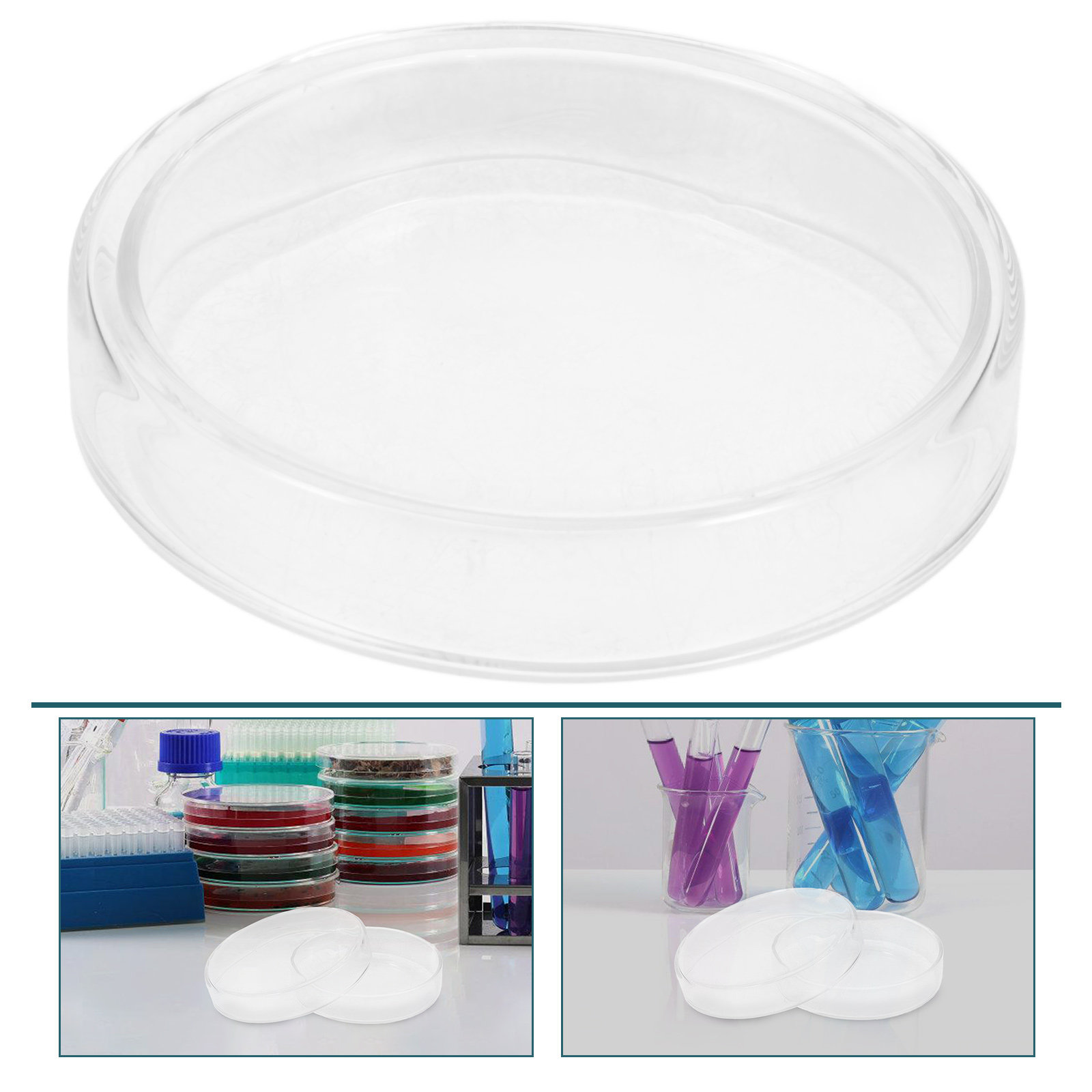High Borosilicate Glass Petri  - Agar Tissue Culture のレビューと価格