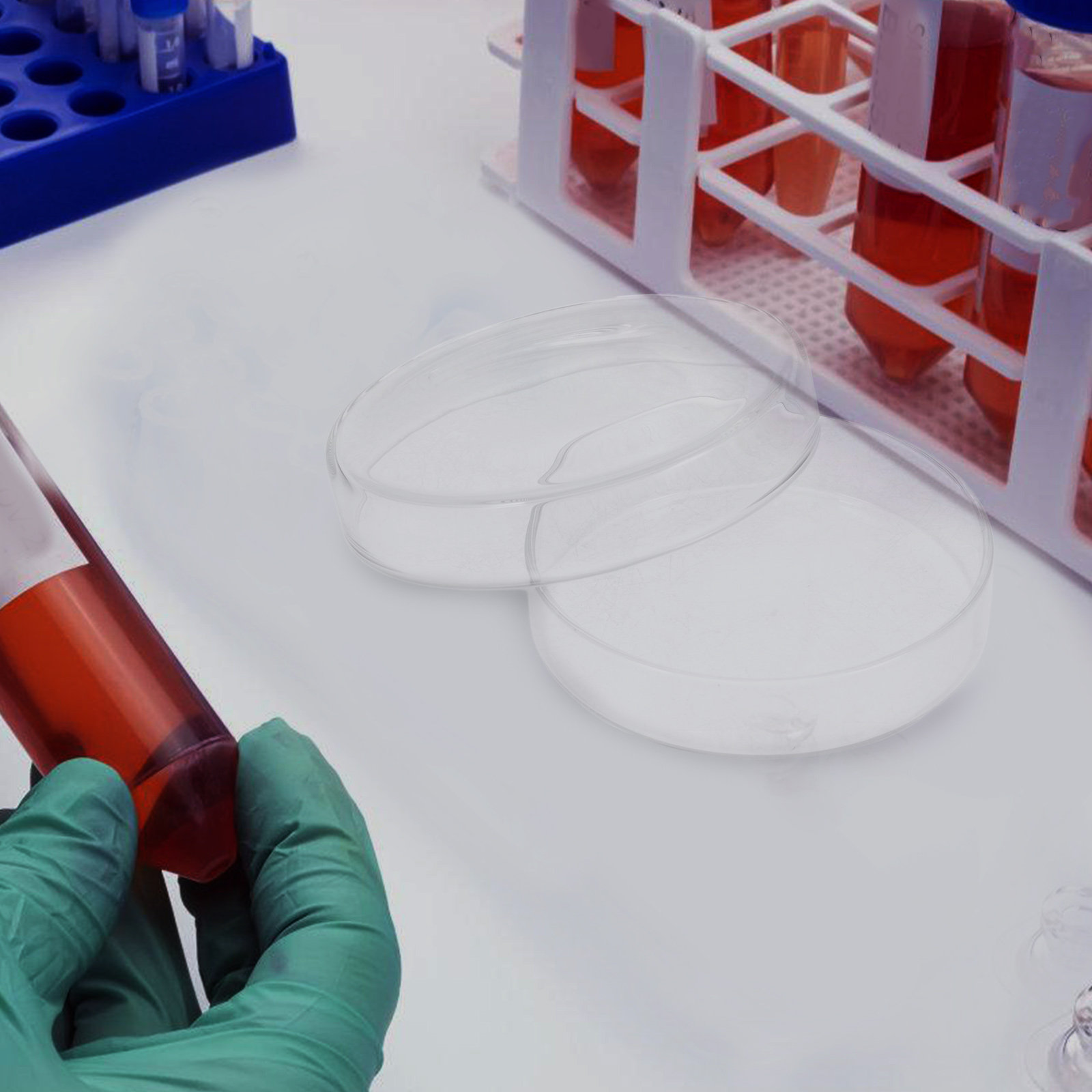 High Borosilicate Glass Petri  - Agar Tissue Culture のレビューと価格
