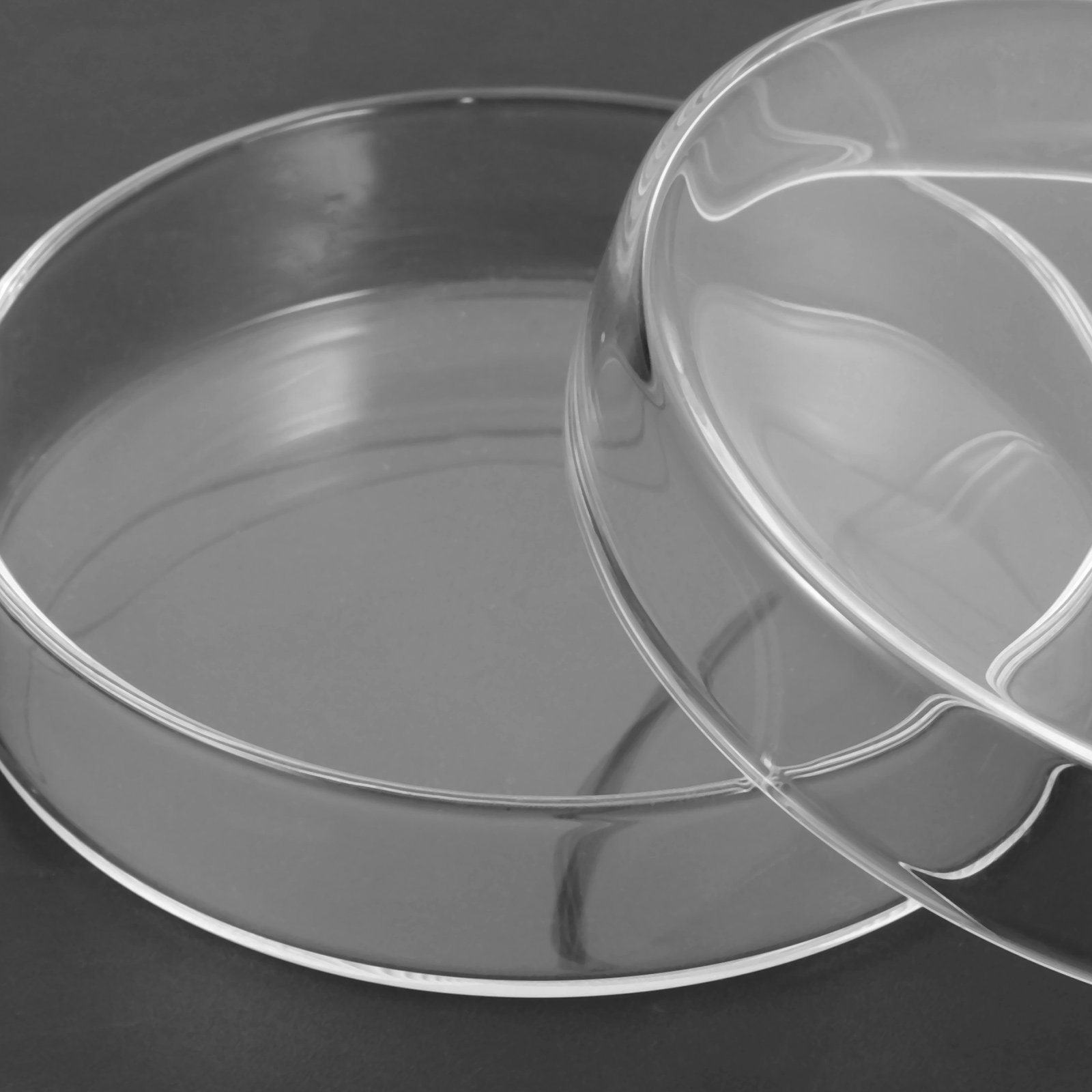 High Borosilicate Glass Petri  - Agar Tissue Culture のレビューと価格