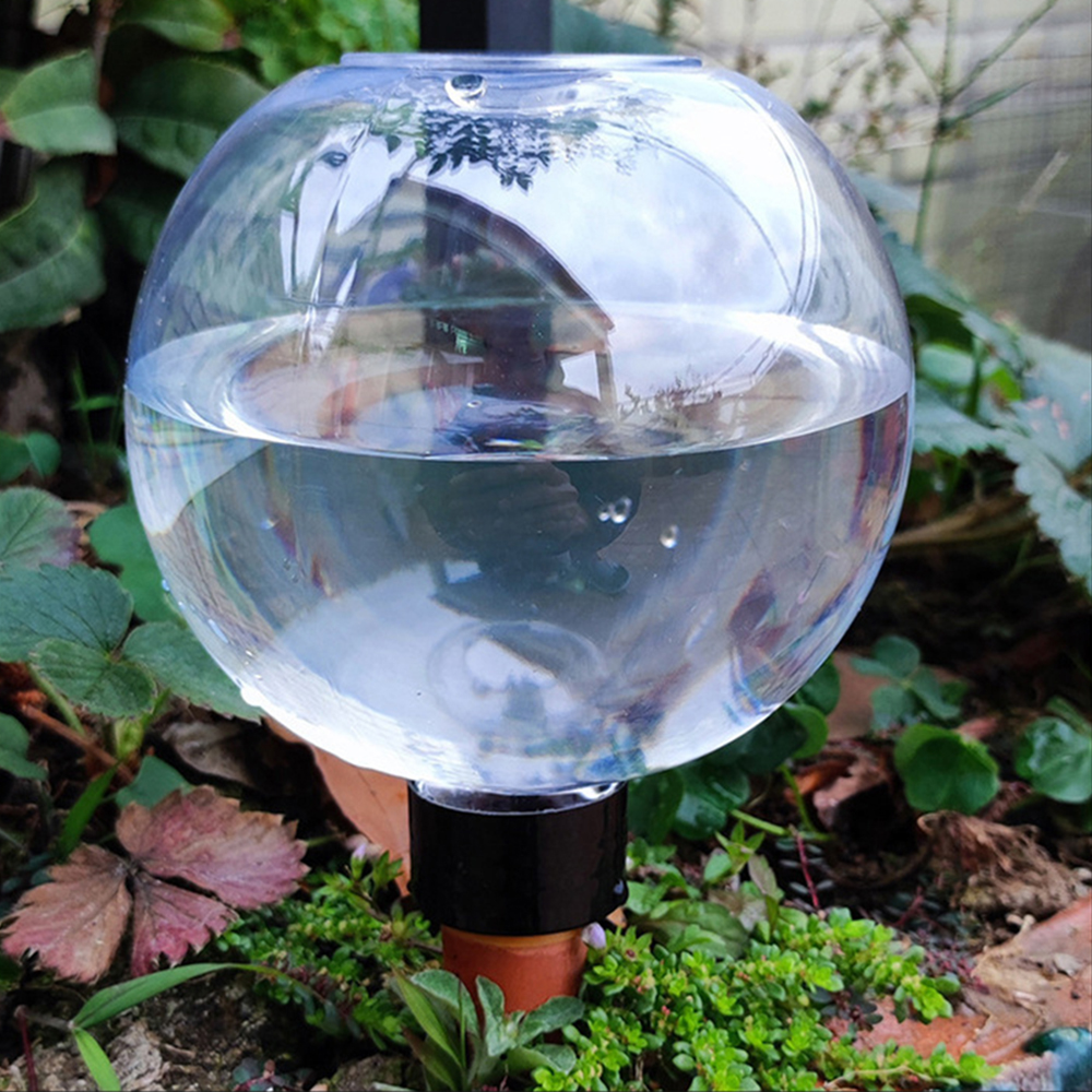 2PCS/4PCS Spherical Automatic  - Self Watering Insert のレビューと価格