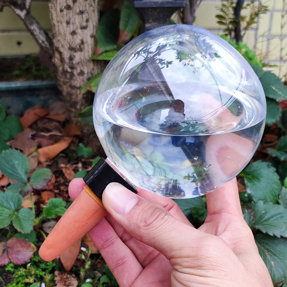 2PCS/4PCS Spherical Automatic  - Self Watering Insert のレビューと価格