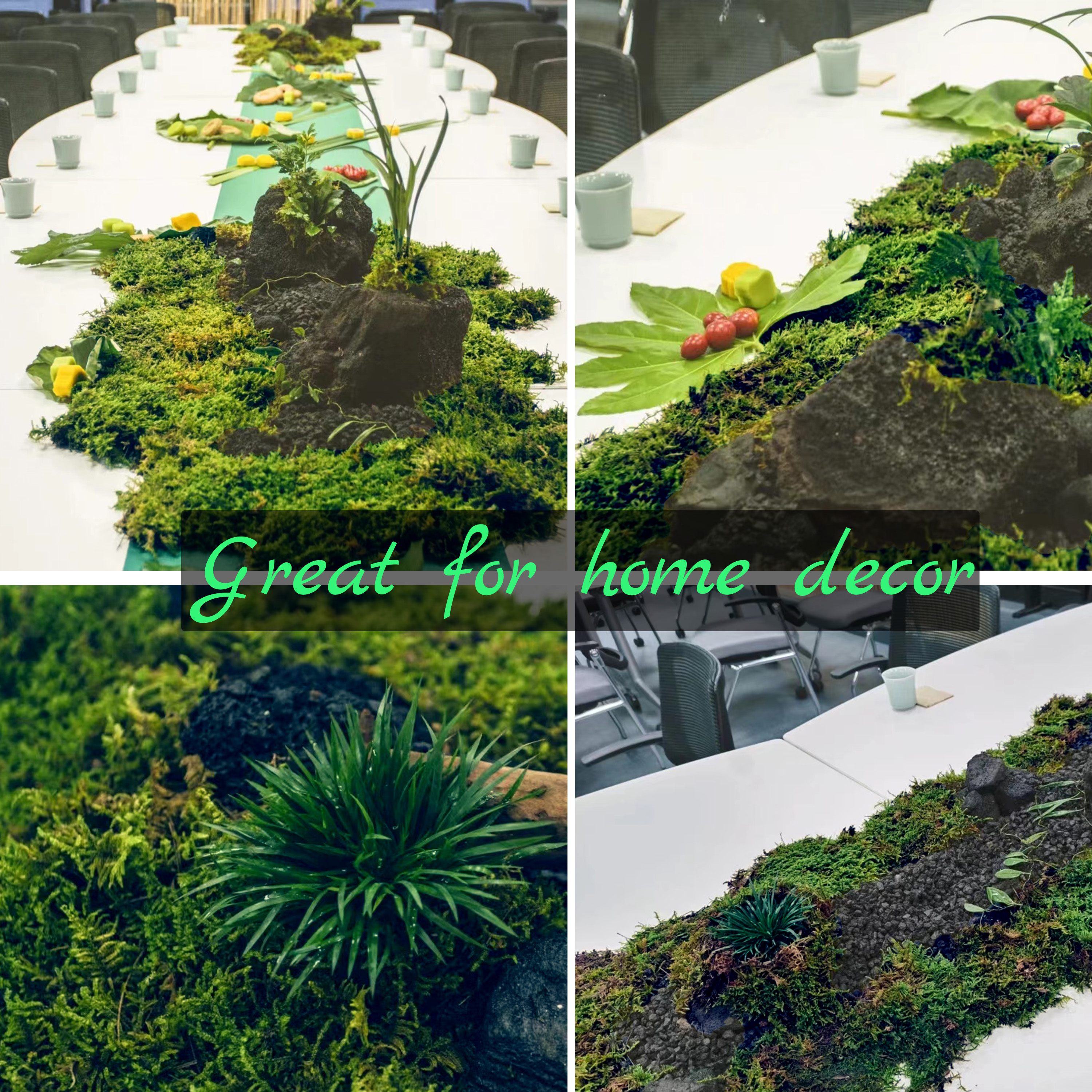 Artificial Moss Green for Pott - Sphagnum Moss Dry のレビューと価格