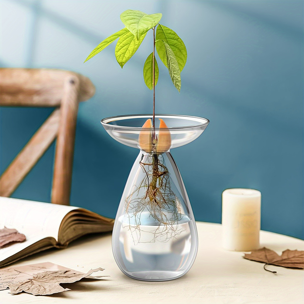 Avocado Seed Starter Hydroponi - Propagation Station Vase のレビューと価格