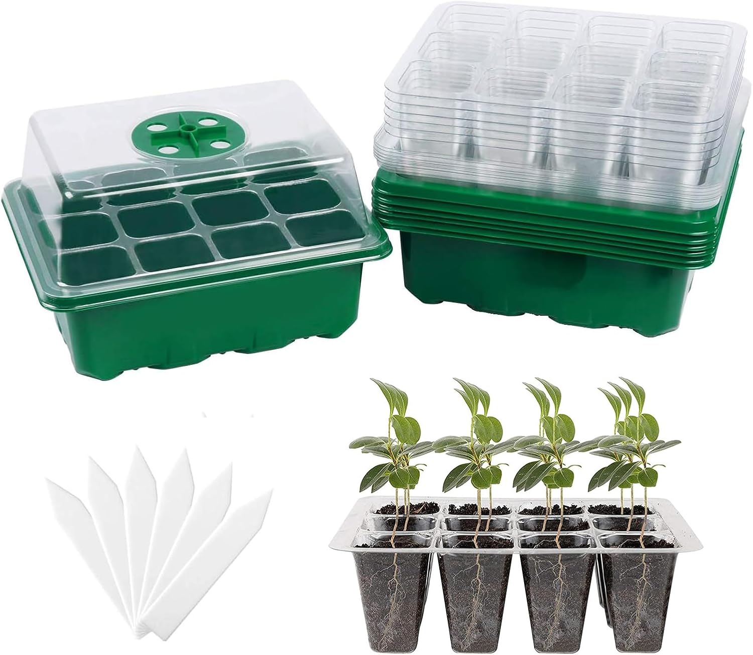 6-Pack Seed Starter Tray with  - Humidity Dome Kit のレビューと価格