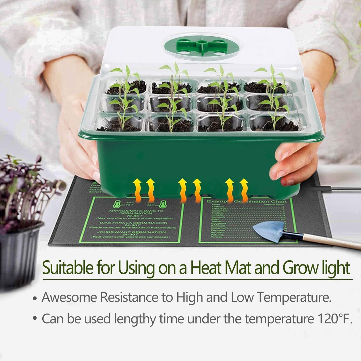 6-Pack Seed Starter Tray with  - Humidity Dome Kit のレビューと価格