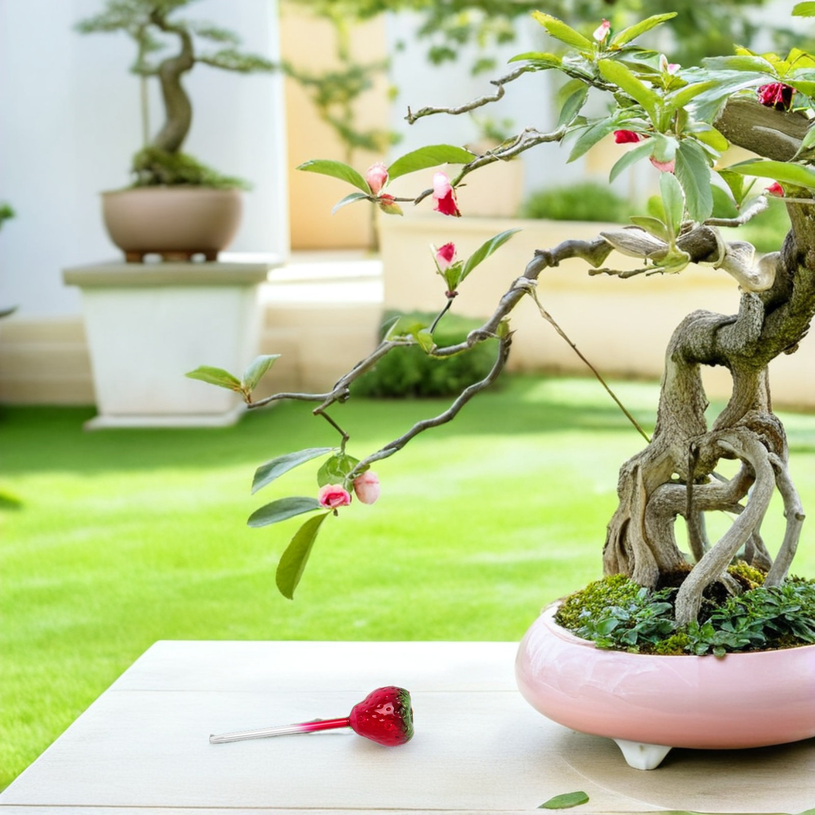 2Pcs Glass Strawberry Water Bu - Self Watering Insert のレビューと価格