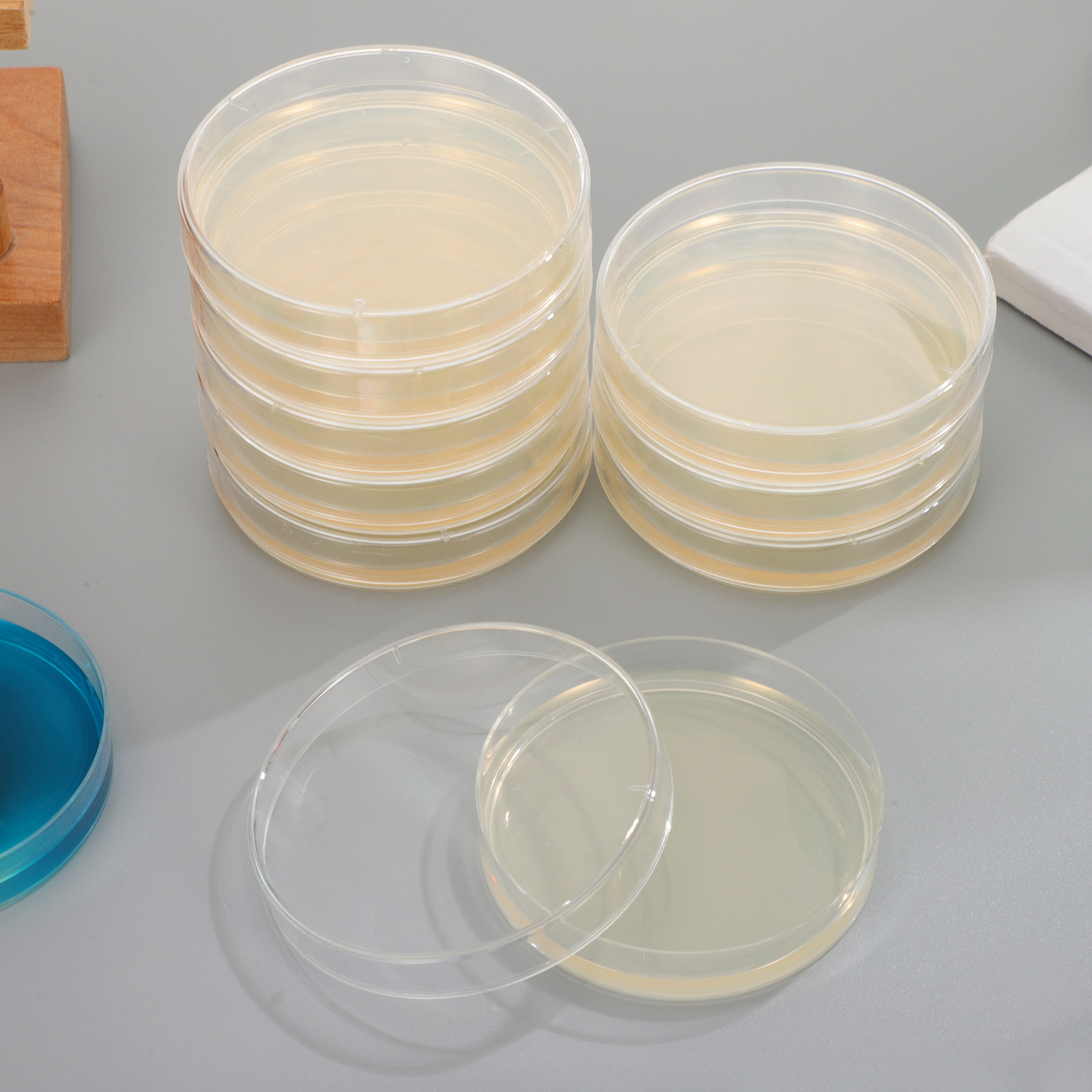 20Pcs Agar Petri Plates Pre-Po - Agar Tissue Culture のレビューと価格