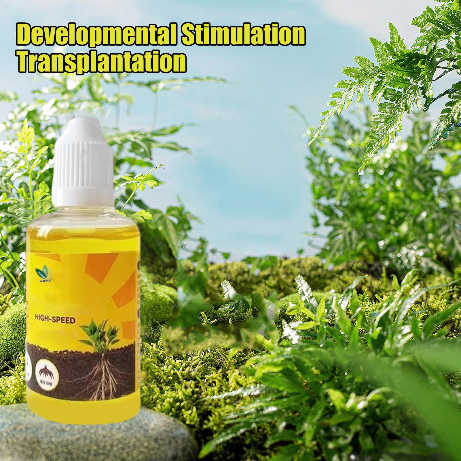 50ml Plant Rooting Stimulator  - Root Stimulator Liquid のレビューと価格