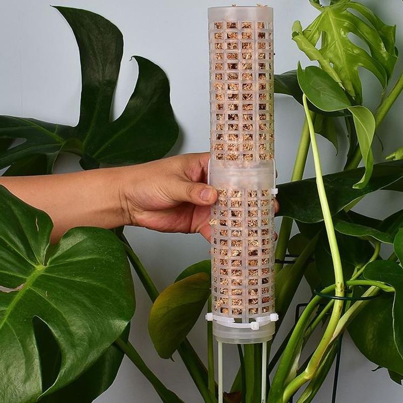 Plastics Moss Pole Plastics St - Sphagnum Moss Dry のレビューと価格