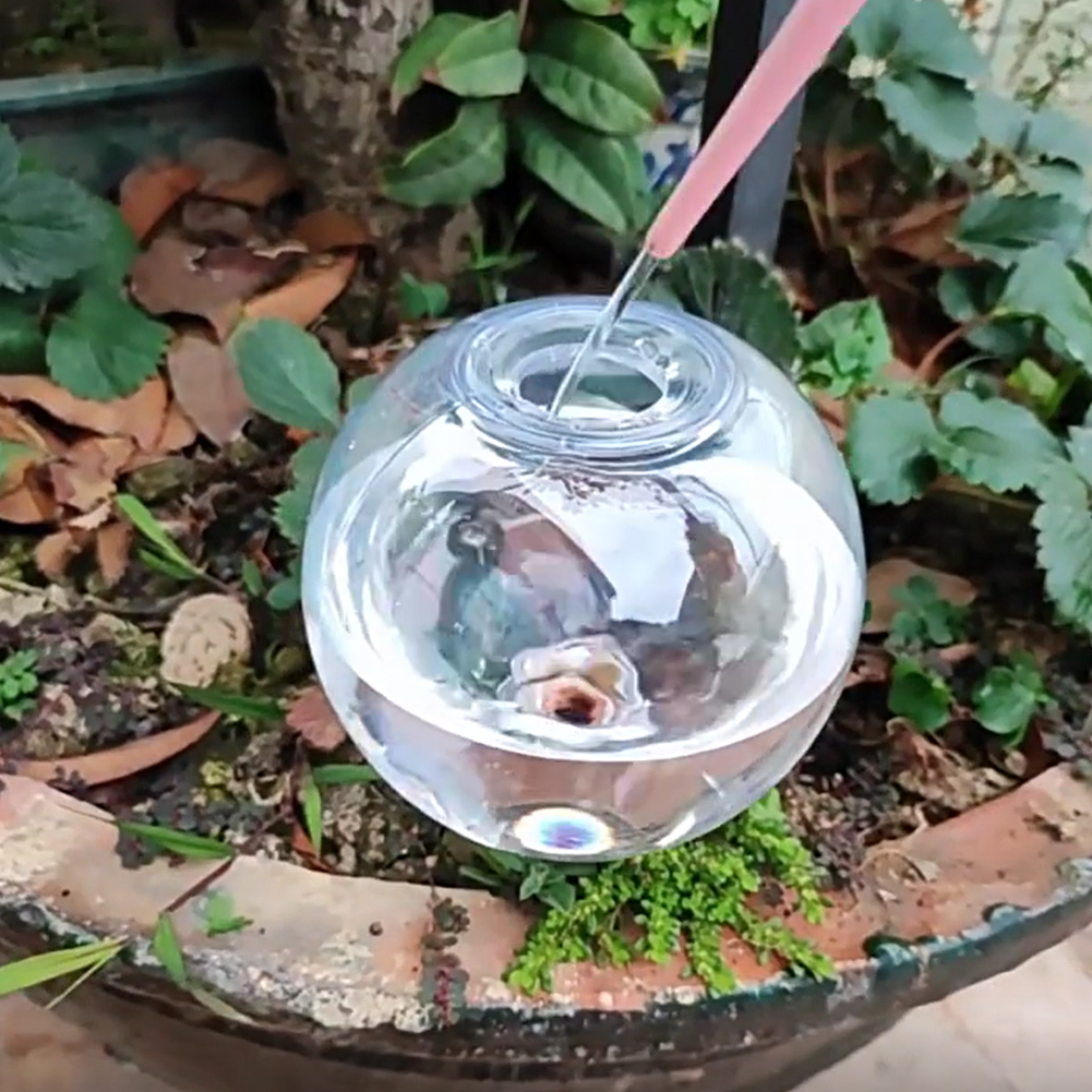 500ML Self Watering Globes Dri - Self Watering Insert のレビューと価格