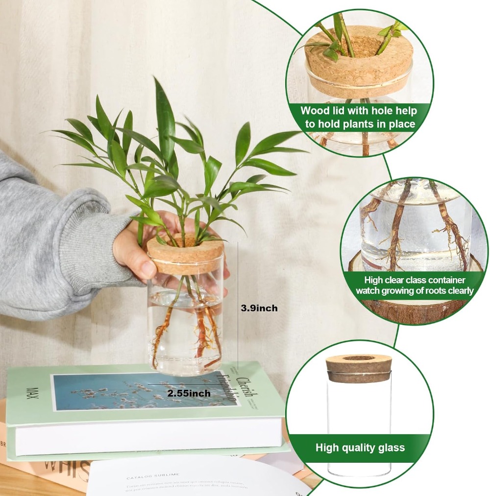 Desktop Glass Flower Vases - I - Propagation Station Vase のレビューと価格