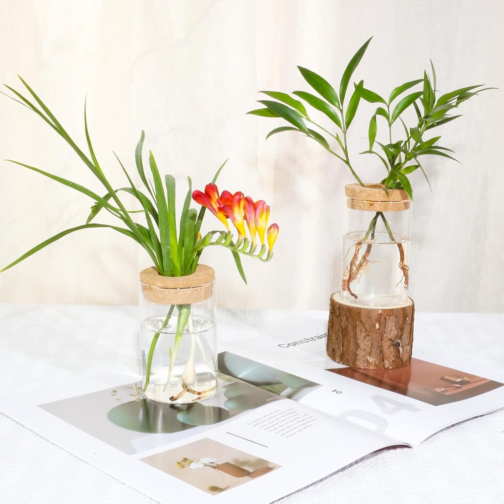 Desktop Glass Flower Vases - I - Propagation Station Vase のレビューと価格