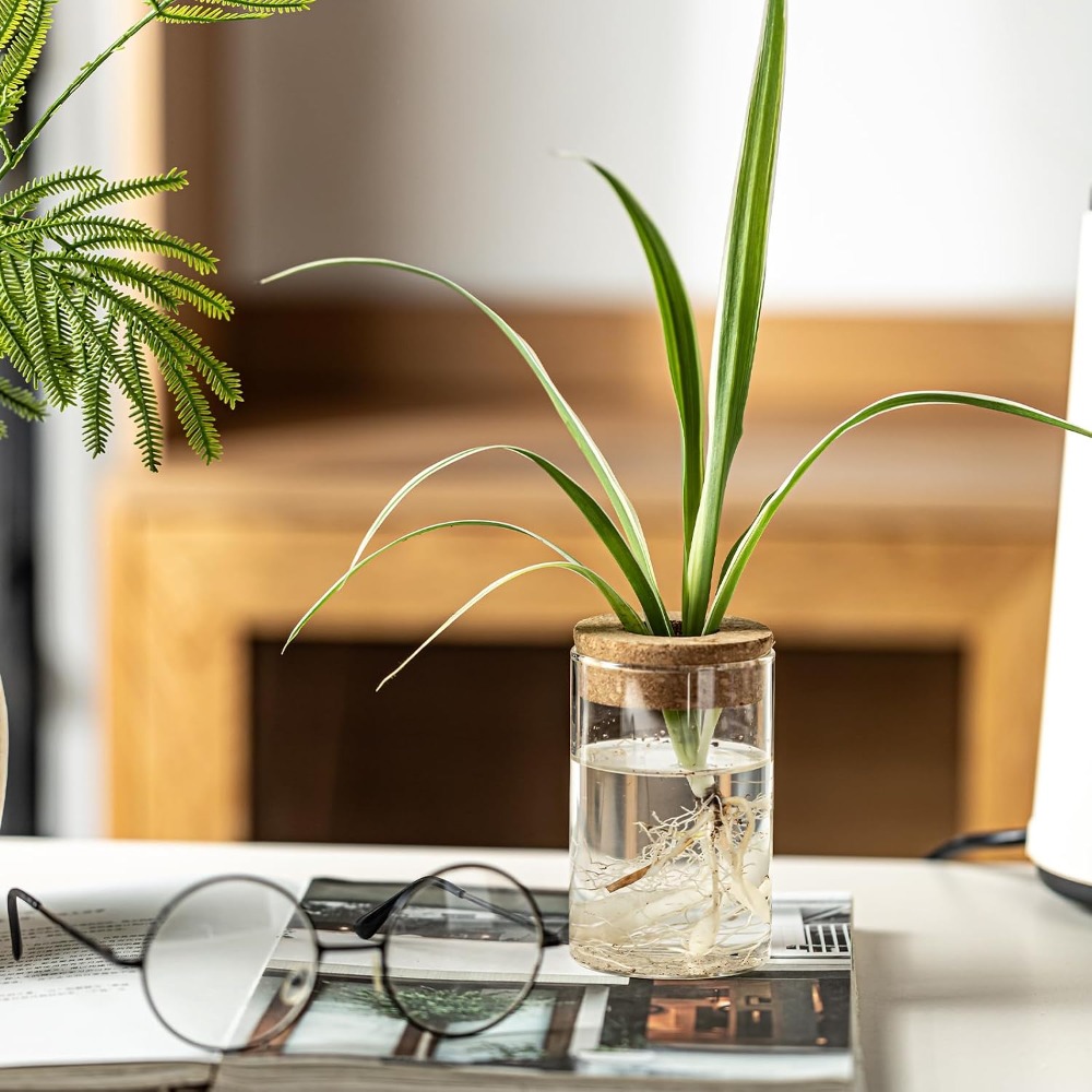 Desktop Glass Flower Vases - I - Propagation Station Vase のレビューと価格