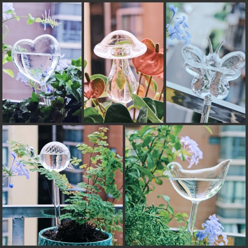 Creative Glass Plant Flowers W - Self Watering Insert のレビューと価格