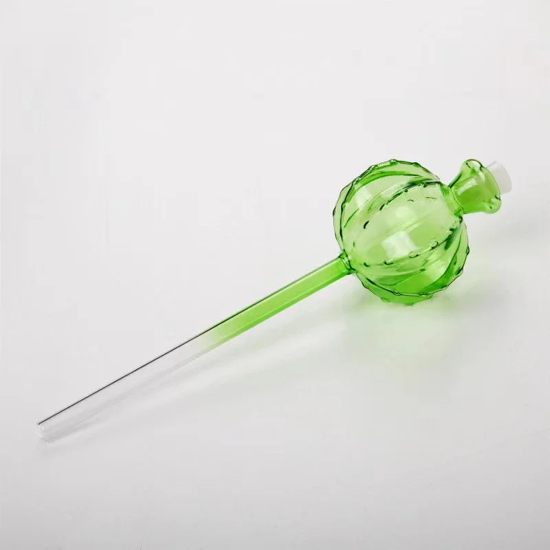 Creative Glass Plant Flowers W - Self Watering Insert のレビューと価格